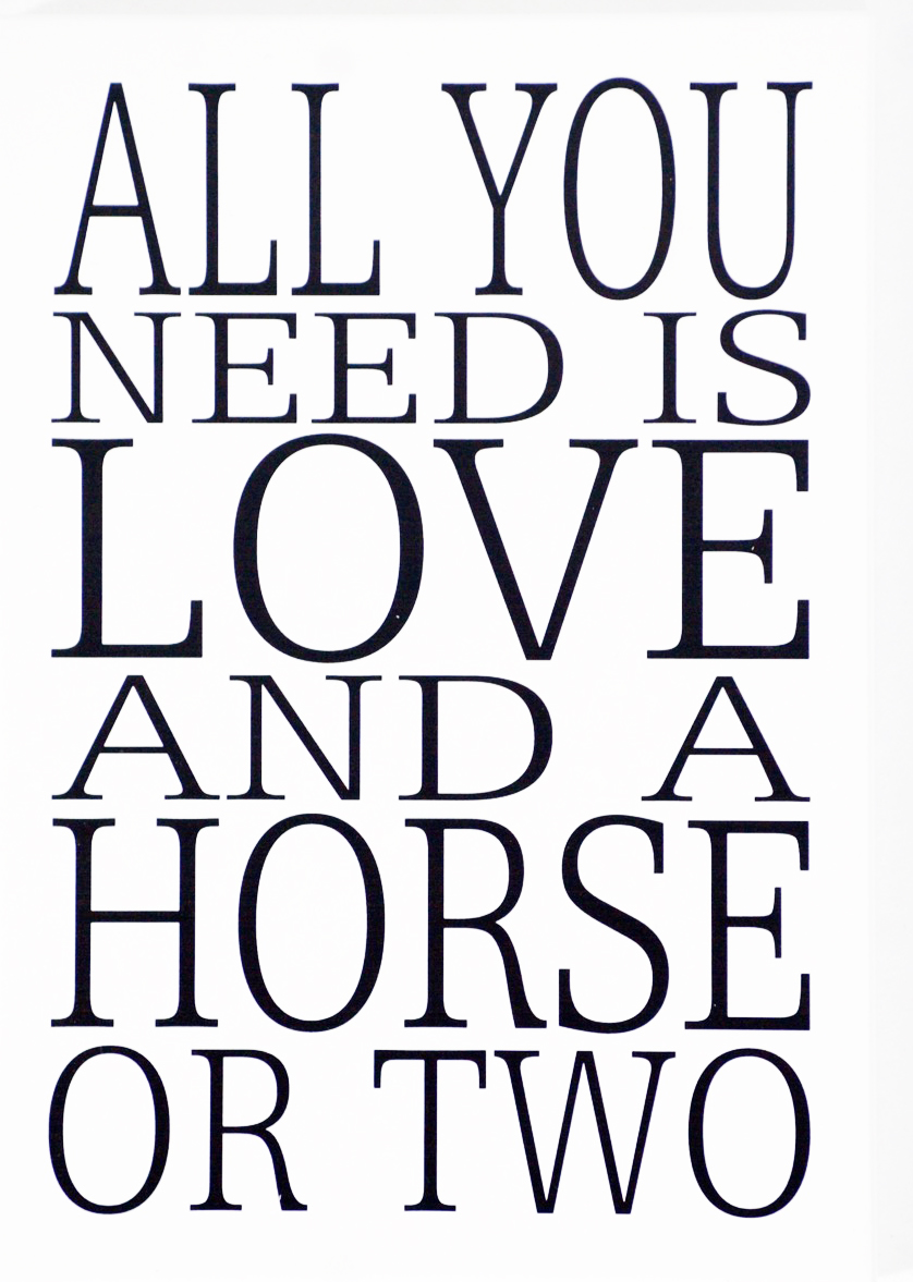 Skylt All you need is a horse